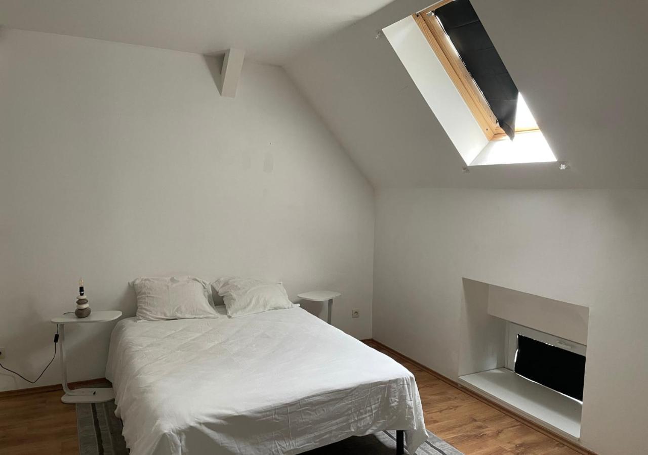 Le Wolf - 1 Chambre Dans Un T3 - 5Mn Tram Du Centre Ville - 15Mn Tram Gare Tgv Mulhouse - Wifi - Parking Exterior foto